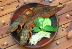 Konsumsi Ikan Lele Saat Hamil Optimalkan Perkembangan Otak dan Sistem Saraf Janin