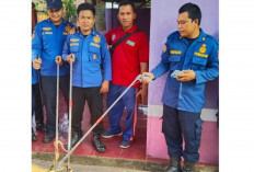 Damkar Betung Gerak Cepat Evakuasi Ular Kobra di Permukiman Warga