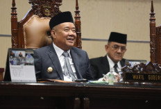 Wagub Cik Ujang Apresiasi Kinerja Pansus Perkebunan DPRD Sumsel dalam Mendorong Tata Kelola yang Berkeadilan