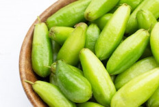 Manfaat Vitamin C dalam Belimbing Wuluh, Kunci Daya Tahan Tubuh Tetap Prima
