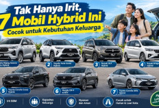 Tak Hanya Irit, 7 Mobil Hybrid Ini Cocok untuk Kebutuhan Keluarga