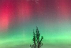 Langit Eropa Membara! Aurora Merah Langka Jadi Bukti Puncak Solar Maximum 2026