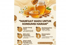 Rahasia Tubuh Kuat Tanpa Obat Mahal, Cukup 1 Sendok Madu Sehari
