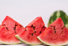 90 Persen Kandungannya Air, Ini Alasan Semangka Baik untuk Tubuh