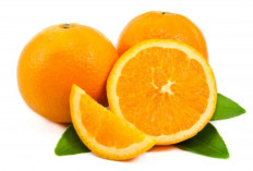 Sering Sembelit? Konsumsi Jeruk Bisa Jadi Solusi Alami untuk Pencernaan Sehat