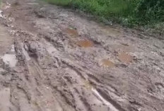 Netizen Keluhkan Kondisi Jalan di Banyuasin, Soroti Jalintim hingga Jalan Pelosok yang Kian Rusak