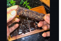 Mirip Beng-Beng Tapi Lebih Sehat! Camilan Cokelat Ini Tanpa Gula & Bikin Nagih**