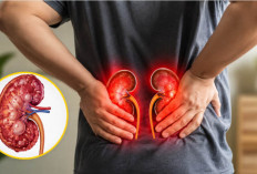 8 Kebiasaan Sepele yang Diam-Diam Bisa Memicu Gagal Ginjal, Nomor 5 Masih Dilakukan Banyak Orang