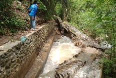 Irigasi Baru Ambruk, 63 Hektare Sawah di Tanjung Bulan Terancam Gagal Tanam