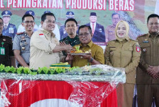 Target Luas Tanam 268.543 Hektare, Banyuasin Perkuat Posisi sebagai Lumbung Pangan Nasional