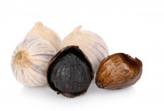 Turunkan Kolesterol Secara Alami? Bawang Hitam Bisa Jadi Pilihan