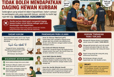 Panitia Kurban Ambil Daging Duluan, Bagaimana Hukumnya? Ini Penjelasan Ulama