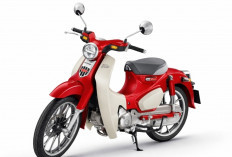 Honda Super Cub C125 Terbaru 2026: Lebih Irit BBM, Bisa Jalan 220 KM Sekali Isi Full, Mesin Halus dan Bandel