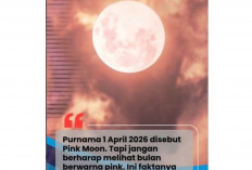 Jangan Tertipu! Pink Moon 2026 Bukan Bulan Berwarna Pink, Ini Fakta Sebenarnya yang Lebih Menakjubkan!
