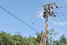 Sejak Magrib Listrik Padam di Air Salek Banyuasin, PLN ULP Mariana Masih Cari Penyebab Tambah Tim Perbaikan
