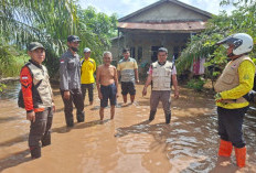 Banjir di Kecamatan Sembawa, 45 Rumah Terdampak, Warga Diminta Waspada Serangan Buaya