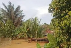 Puluhan Desa di Muratara Dilanda Banjir: Batita Tewas Tenggelam, 4 Rumah Hanyut dan Ribuan Warga Terdampak