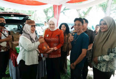 Operasi Pasar Murah di Mariana Diserbu Warga, Wabup Netta Pastikan Harga Stabil Jelang Lebaran 1447 H