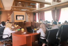 Banyuasin Siapkan Rehabilitasi DAS 17 Hektare, Mangrove dan Tanaman Buah Jadi Solusi Hijau