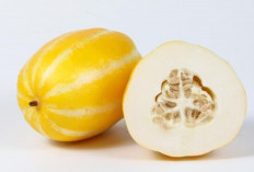 Blewah, Buah Segar Kaya Manfaat untuk Kesehatan Tubuh