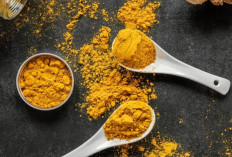 Temulawak, Rimpang Ajaib Nusantara: Khasiatnya bagi Kesehatan Tubuh Wajib Diketahui!