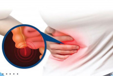 Fungsi Sebenarnya dari Usus Buntu pada Tubuh