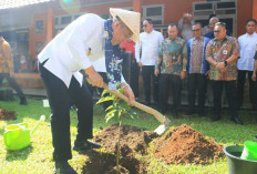 Wagub Sumsel Cik Ujang Tanam Pohon di SMAN 1 Lubuklinggau, Dorong Terwujudnya Sekolah Hijau