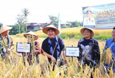 Komitmen Majukan Petani Semende, Gubernur HD Janjikan Bantuan Traktor