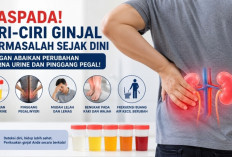 Urine Berubah Warna dan Pinggang Sering Pegal? Bisa Jadi Tanda Gangguan Ginjal