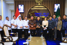 Pemprov Sumsel Jajaki Kerjasama dengan Investor China, Pembangunan PLTA di OKU Selatan