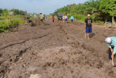 Jalan Berlumpur, Warga Dua Desa di Air Kumbang Gotong Royong Perbaiki Jalan