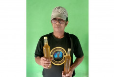 Madu Asli Tanjung Api-Api, Manis Alami dari Alam Banyuasin Siap Antar Hingga Palembang