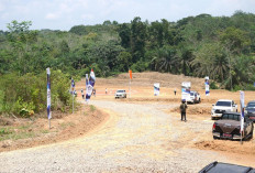 Herman Deru: Angkutan Batubara Wajib Gunakan Jalan Khusus