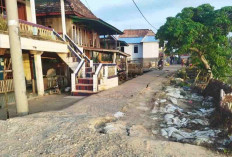 Memprihatinkan! Jalan Desa Tanjung Menang Musi Terancam Putus Akibat Abrasi Air Pasang