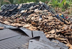 Puting Beliung Terjang Desa Margomulyo Muara Sugihan, Puluhan Rumah Warga Rusak