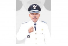 Kepala Desa Purwosari Pujo Widodo Sampaikan Rasa Bangga dan Syukur pada HUT ke-15 Kecamatan Sembawa