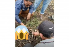 Warga Temukan Kerangka Diduga Tulang Manusia di Lebung Bakar Pulau Harapan, Polisi Turun Tangan