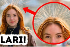 Rambut Tiba-Tiba Berdiri Saat di Luar? Waspada, Itu Bisa Jadi Tanda Petir Akan Menyambar!