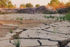 Memasuki Musim Kemarau, Masyarakat Diimbau Tetap Waspada terhadap Perubahan Cuaca
