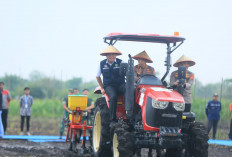 Tanam Jagung Serentak di Ogan Ilir, Herman Deru dan Kapolri Perkuat Ketahanan Pangan Nasional