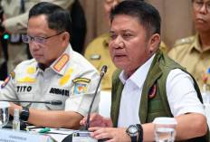 Karhutla di Sumsel Ditindak Tegas, 17 Tersangka Masuk Proses Hukum