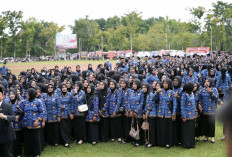 1.006 PPPK Paruh Waktu di Banyuasin Gigit Jari, Pemkab Tak Mampu Berikan THR