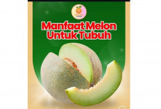 Manfaat Buah Melon bagi Kesehatan Tubuh, Segar Dikonsumsi dan Kaya Nutrisi