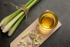 Tak Perlu Obat Nyamuk! Serai Wangi Jadi Solusi Alami yang Efektif