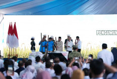 Banyuasin Kokoh di Puncak Nasional, Daerah dengan Produksi Beras Tertinggi di Indonesia