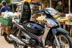 Motor Bebek dengan Bagasi Luas, Cocok untuk Pedagang dan Pekerja Lapangan! Nomor Terakhir Muat Banyak Barang