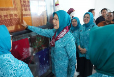 Ketua TP PKK Sumsel Resmikan Galeri UMKM dan Tinjau Stan UP2K