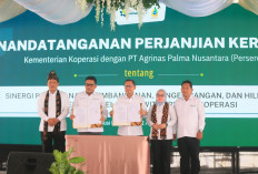 Pabrik CPO KUD Sejahtera Jadi Tonggak Kebangkitan Koperasi Sumsel