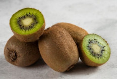 Makan Kiwi Setiap Hari? Ini Manfaat Besarnya untuk Sistem Imun Tubuh