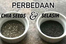 Sekilas Mirip, Ternyata Beda Jauh! Ini Perbedaan Chia Seed dan Biji Selasih yang Jarang Diketahui